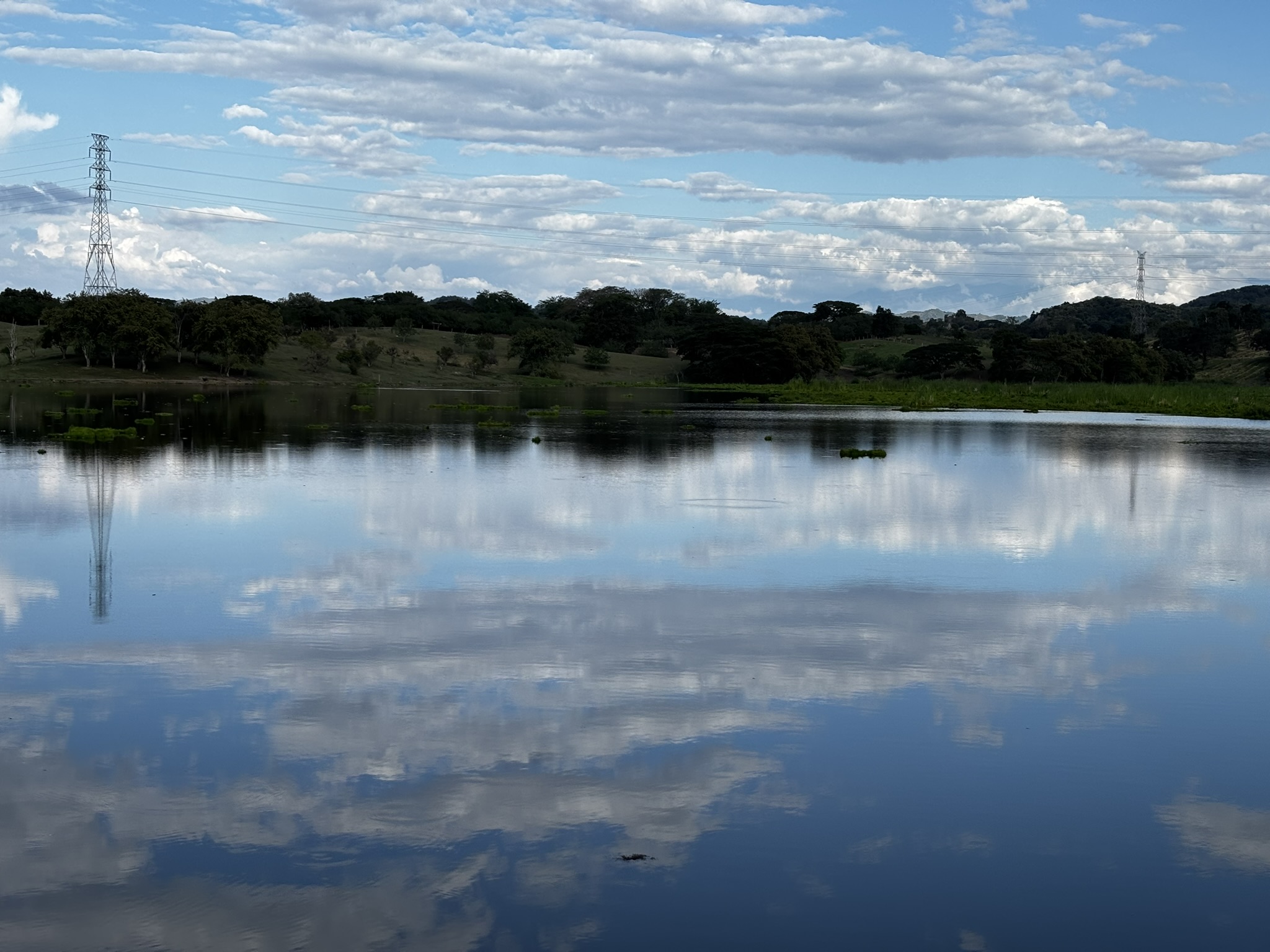 Lago y bosque reflejado en El Garcero